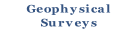 Geophysical
Surveys
