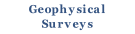 Geophysical
Surveys
